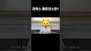 라텍스 매트리스란?