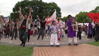 名大祭らんまつり２０１７　【総踊り】　ともちゃん