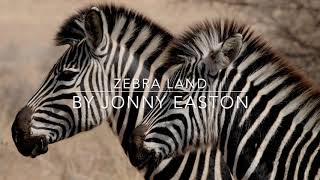 Wildlife Cinematic Background Music - Royalty Free - Zebra Land