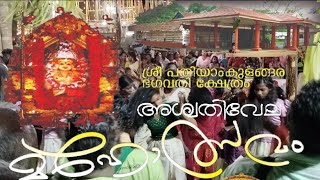 പുതിയതലമുറയില്ലേ  പിള്ളേരുടെ അടിപൊളി മുടിയാട്ടം പതിയാംകുളങ്ങര അശ്വതിവേല 2024 #keralaculture #kerala