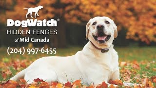 Meet DogWatch® of Mid-Canada