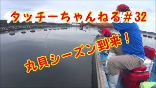 チヌかかり釣りタッチーちゃんねる＃32　丸貝シーズン到来！