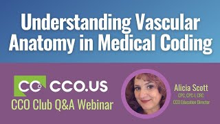 Understanding Vascular Anatomy in Medical Coding