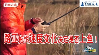 钓鱼教学, 釣魚,条形软饵搭配德州钓组实战技巧-路亚很简单 第52集 - 钓鱼教学课程