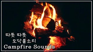 ☾[ASMR] 마음이 따뜻해지는 직접 피운 모닥불 장작 소리🔥 l Campfire Sounds l Fire Sounds l No Talking