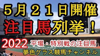 【注目馬列挙・平場予想】2022年5月21日JRA平場特別戦！東京と中京は雨に注意？先週は新潟好調で！