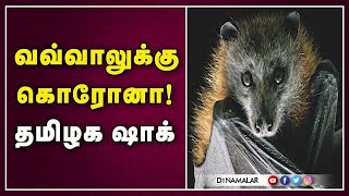 மக்களுக்கு பரவியதா வைரஸ்?