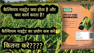 लहसुन में कैल्शियम नाइट्रेट का प्रयोग क्यों, कब और कितना करे | कैल्शियम किन खाद के साथ नहीं मिलाये