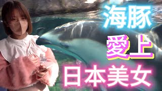 海豚愛上日本美女  イルカが日本人の女の子に恋をした  A dolphin fell in love with a Japanese girl