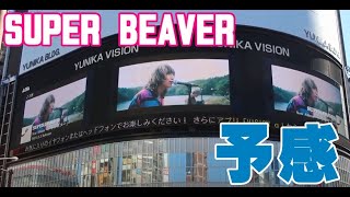 superbeaver　予感（ミュージックビデオ）　渋谷龍太   柳沢亮太　上杉研太　　藤原広明　15th Anniversary 都会のラクダSP　ユニカビジョン