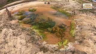 INFELIZMENTE, Essa POÇA  tem mais PEIXE DO QUE AGUA.