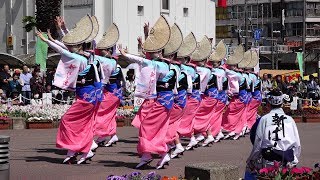 新ばし連 @ はなはるフェスタ (藍場浜公園) 2019-04-20T13:30