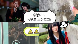 수붕이의 9부코 브이록으에오