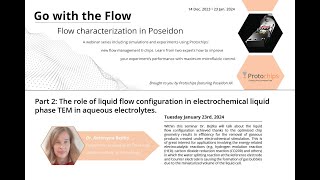 Webinar 2: Mass Transport in different Liquid Phase TEM Flow Scenarios