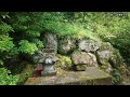 【trip vlog】kamiichinomiya oh awa shrine tokushima prefecture japan