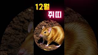 12월 쥐띠 운세풀이 #띠별운세 #오늘의운세 #풍수 #사주 #12월운세 #신년운세 #하반기운세 #횡재수 #소원성취 #기도 #생년월일운세 #생년월일사주 #생년월일운세 #타로운세