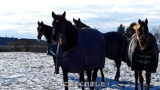 揃い踏みからの華麗なターン＆ご挨拶／ポップコーンジャズ　ライラプス　マリーンウィナー