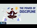 How To Build Self-Discipline? | 🎧 Podcast and Chill | Beginner