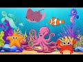 Sea Animals Song for Kids |Sea animals names Vocabulary | Sea Animals