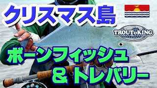 D8 クリスマス島 ボーンフィッシュ＆ＧＴ フライフィッシング fly fishing in Christmas Island