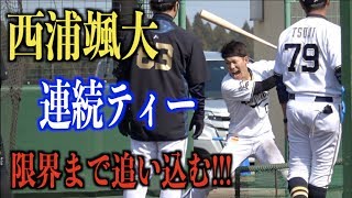 下半身地獄!!!西浦颯大と根本薫が連続ティーバッティングで限界まで追い込む【オリックスバファローズ】