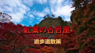 2024/11/16　紅葉の古岩屋にいってみた