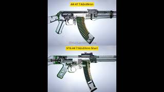 Sturmgewehr 44  vs  Avtomat Kalashnikova