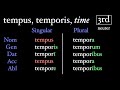 The Neuter Third Declension