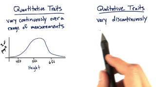 Quantitative vs Qualitative - Tales from the Genome