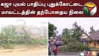 கஜா புயல் பாதிப்பு புதுக்கோட்டை மாவட்டத்தின் தற்போதைய நிலை #Pudukkottai #Thanjavur #GajaCyclone