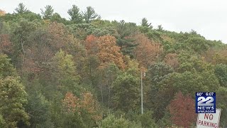 Foliage nearing its peak in western Massachusetts