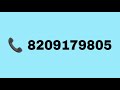 आज मात्र 1 लाख 30 हजार में 62 हाइट की घोड़ी और सुंदर बछेरी बछेरा बिकाऊ । luxuryhorseworld horse