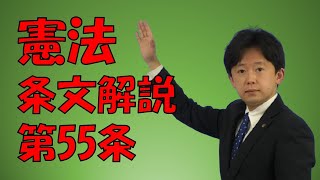 【行政書士】憲法条文解説 第55条