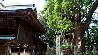 神崎神社（千葉県香取郡）