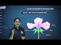 sexual reproduction in flowering plants part 1 for neet 2024 day 56 70 days of ncert excursion