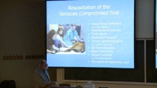 RECOGNITIONEVALUATION OF THE CRITICALLY ILL FOAL BY DR JON PALMER (edited version)