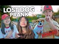 LOST Dog Prank On Sister! (Umiyak haha!) | Ranz and niana