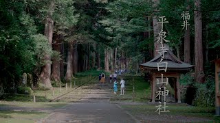 【福井】苔の宮「平泉寺白山神社」（福井県勝山市）