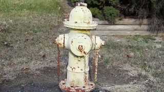 Mueller Centurion Model 5 1/4 Inch Valve Opening Dry Barrel Fire Hydrant