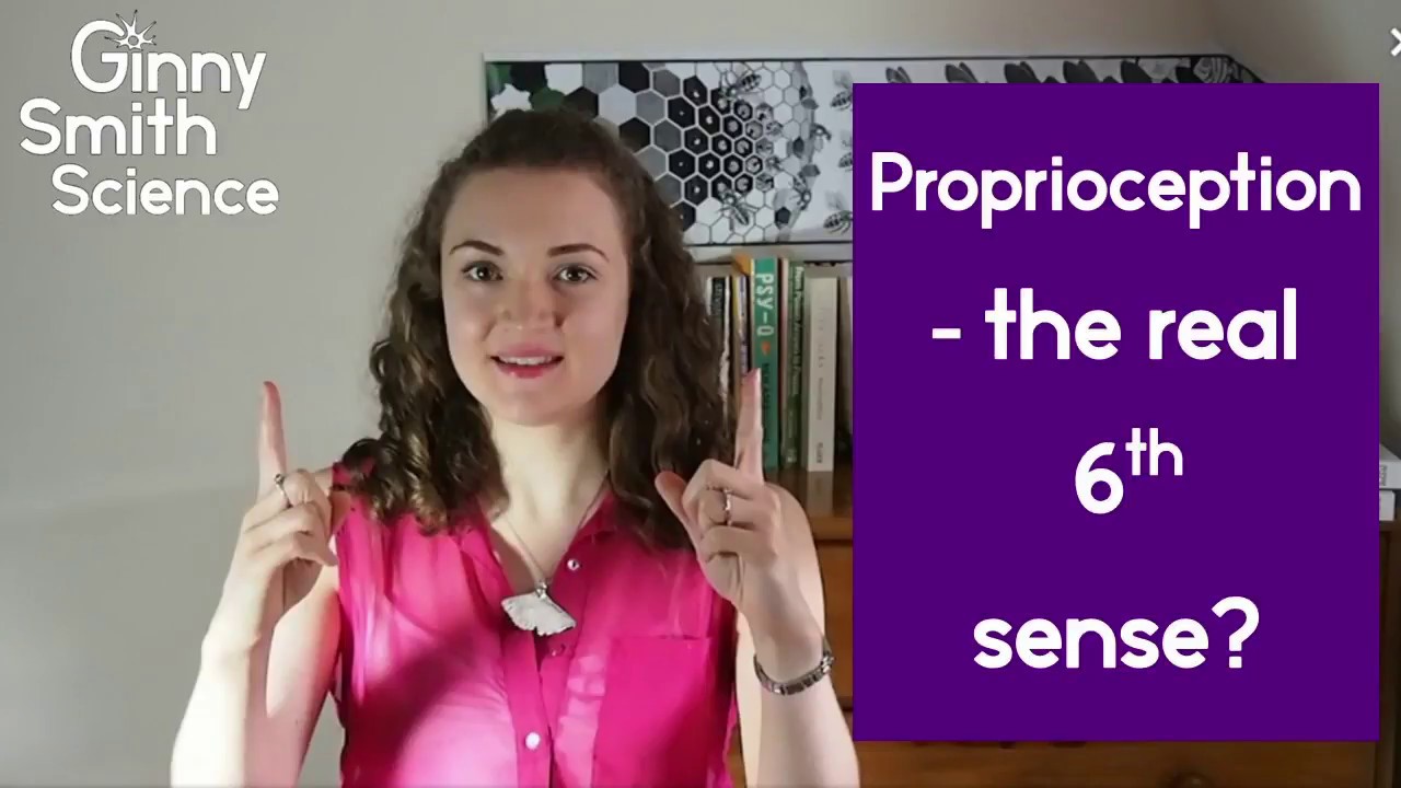 Proprioception Youtube