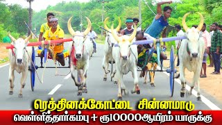 1புதுக்கோட்டை(மா)ரெத்தினக்கோட்டை சின்னமாடு 2 பந்தயம் 08.10.2024