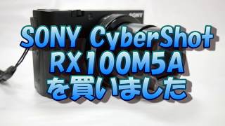 RX100M5A購入