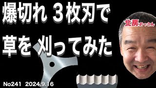 No241 北房おっさん 爆切れ3枚刃を試してみた