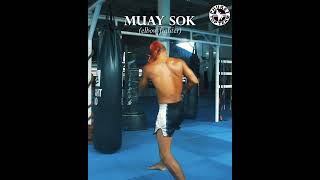 The different styles of Muay Thai