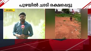 നായകളുടെ കാവലിൽ കഞ്ചാവ് കച്ചവടം; പ്രതി റോബിൻ രണ്ടാം വട്ടവും പോലീസിൽ നിന്നും രക്ഷപ്പെട്ടു