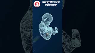 बच्चे पूरे दिन गर्भ में क्या करते हैं?#pregnancyfacts #pregnancy #motherhood #pregnant #ytshorts