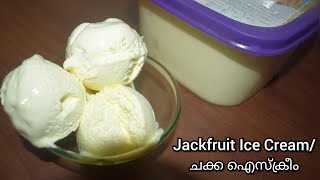 Jackfruit Ice Cream ചക്ക ഉണ്ടെങ്കിൽ ഇപ്പൊ തന്നെ ഉണ്ടാക്കി നോക്കൂ അടിപൊളി ചക്ക ഐസ്ക്രീം/Ayshaz World