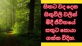 සිතට වද දෙන සිතුවිලි වලින් මිදී ජීවිතයේ සතුට සොයා ගන්න විදිහ.