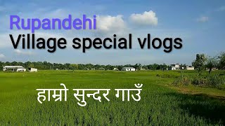 Nepal village vlogs (Haraiya, Rupandehi) ll हाम्रो सुन्दर गाउँ