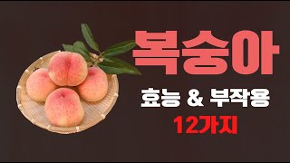 복숭아 효능 \u0026 부작용